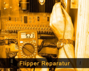 Flipper Reparatur