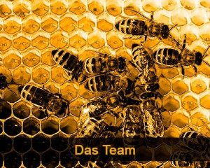 Das Team Das Team