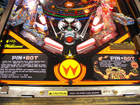 12Pinbot