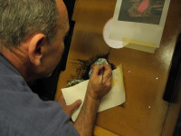 11 individu t2 tatto 11 individu t2 tatto