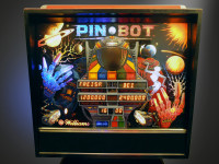 01 Pinbot