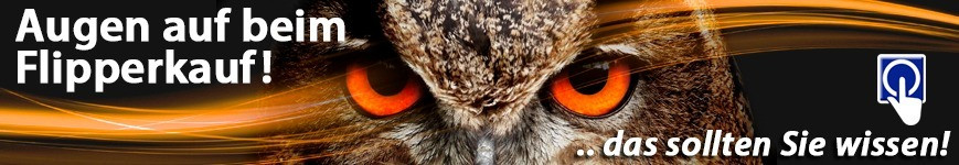 Augen auf beim Flipperkauf!
