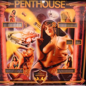 Kundenprojekt: Penthouse Custom-Flipper